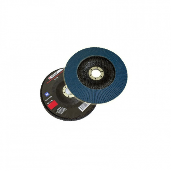 FORSAGE Круг лепестковый торцевой 150х22мм (P100,"мелкий шаг") F-FD6100H - 1
